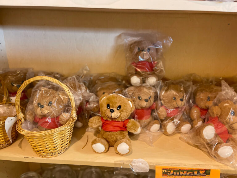 Stuffed Bear Animals