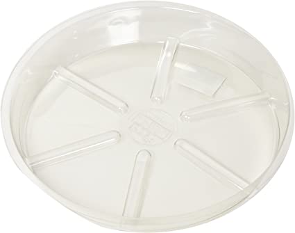 Clear Plant Saucer 10"