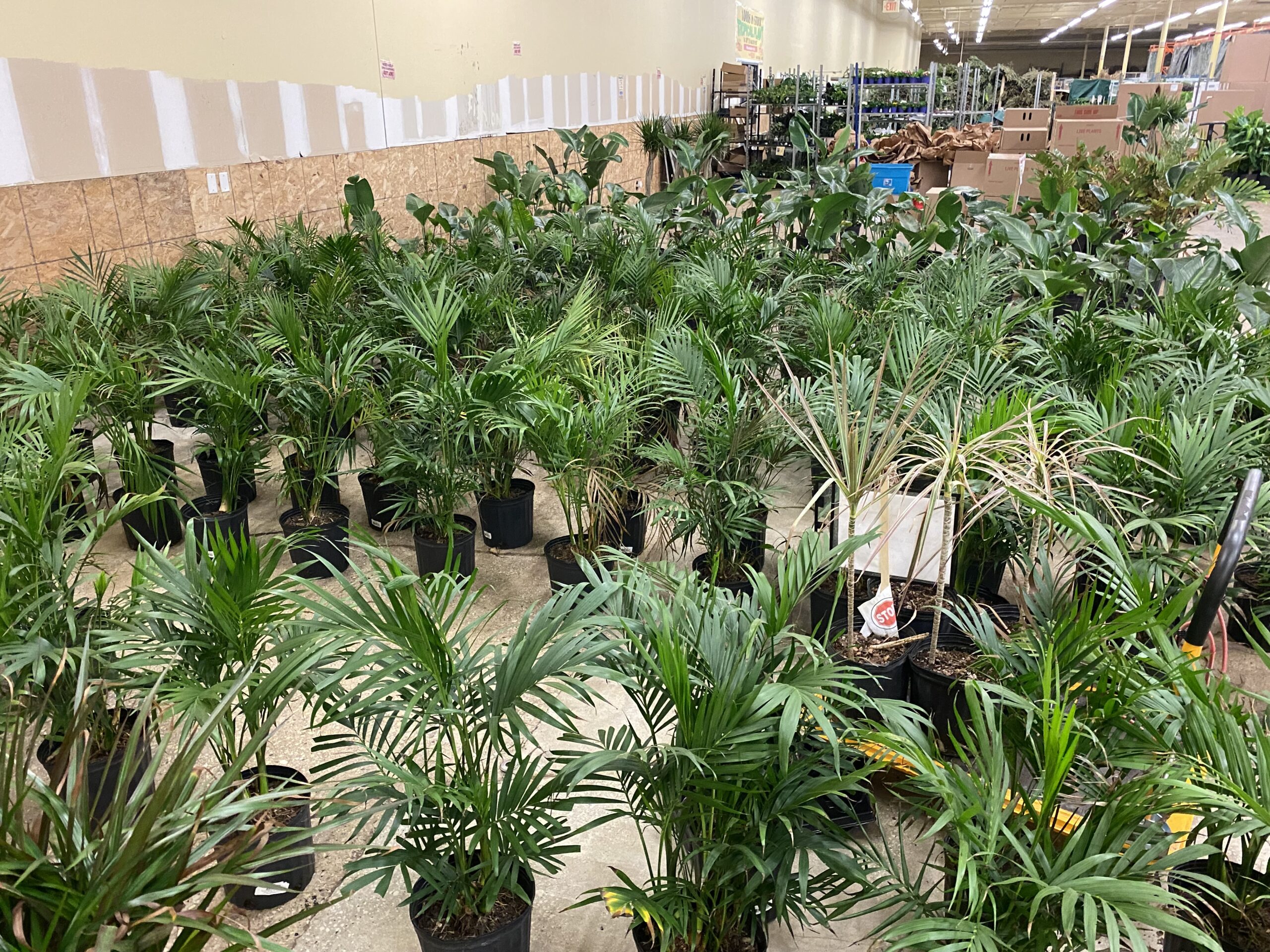 Gallery Jungle Of Niles