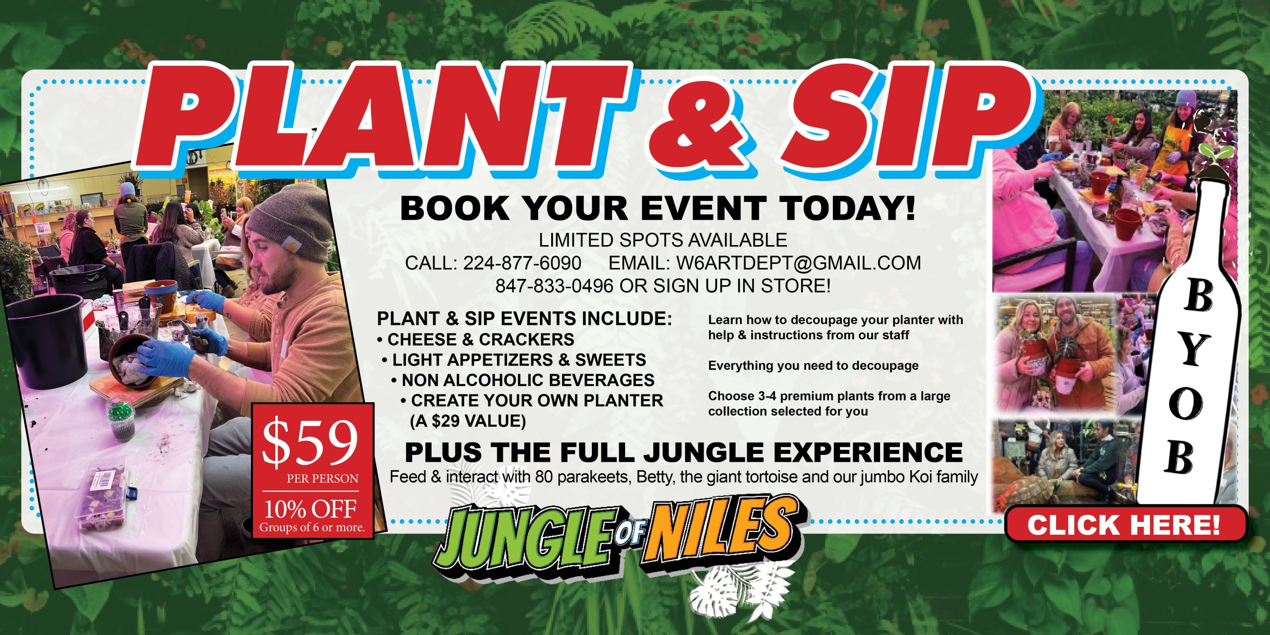Jungle Of Niles – You never know what you'll find in the Jungle!